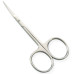 Manicure Scissors