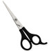 Plastic Handle Scissors