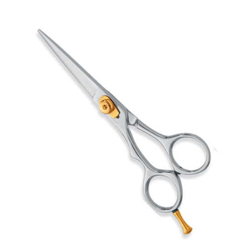 Professional hair Cutting Scissors