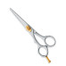 Professional hair Cutting Scissors