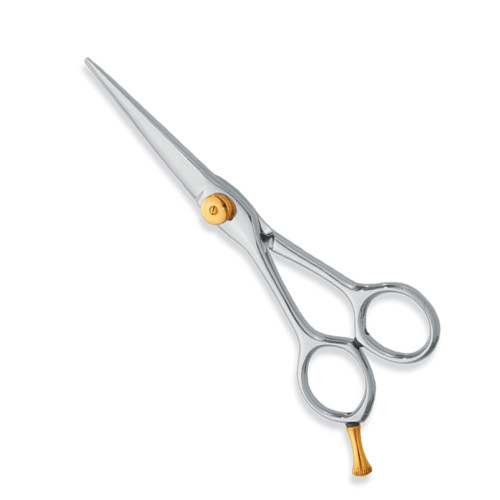 Professional hair Cutting Scissors