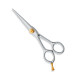 Professional hair Cutting Scissors