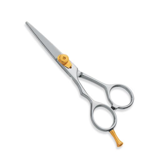 Professional hair Cutting Scissors