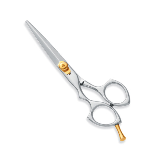 Professional hair Cutting Scissors