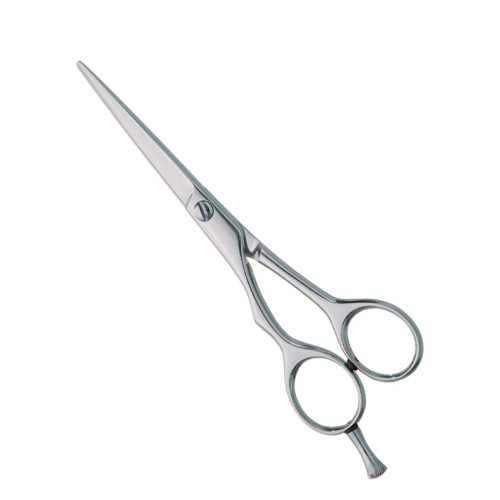 Professional hair Cutting Scissors