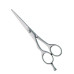 Professional hair Cutting Scissors