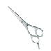 Professional hair Cutting Scissors