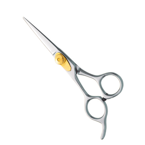 Professional hair Cutting Scissors