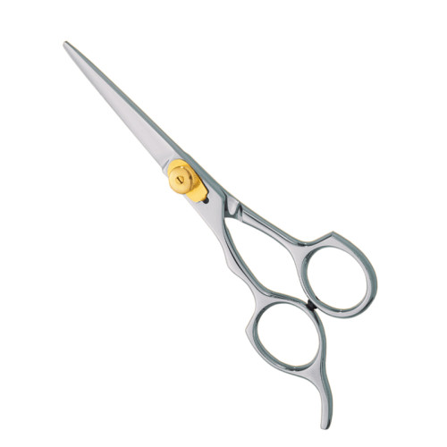 Professional hair Cutting Scissors