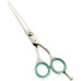 Razor Edge Hair Dressing Scissors