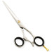 Razor Edge Hair Dressing Scissors