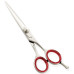 Razor Edge Hair Dressing Scissors