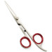 Razor Edge Hair Dressing Scissors