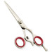 Razor Edge Hair Dressing Scissors