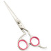 Razor Edge Hair Dressing Scissors