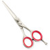 Razor Edge Hair Dressing Scissors