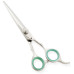 Razor Edge Hair Dressing Scissors