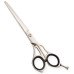 Razor Edge Hair Dressing Scissors