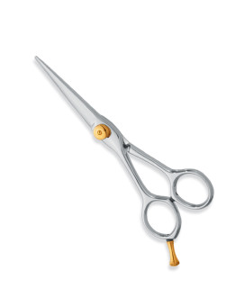 Professional hair Cutting Scissors