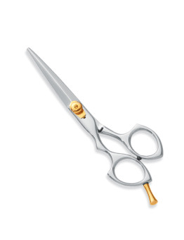 Professional hair Cutting Scissors