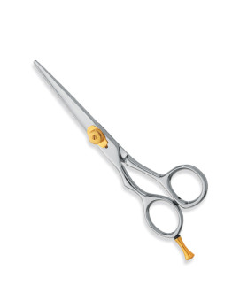 Professional hair Cutting Scissors