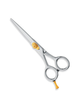 Professional hair Cutting Scissors