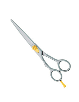 Professional hair Cutting Scissors