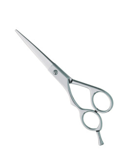 Professional hair Cutting Scissors